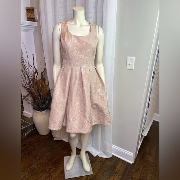 1-Eva Mendes Dusty Rose with silver metallic dress SZ. 2 - Picture 2 of 10